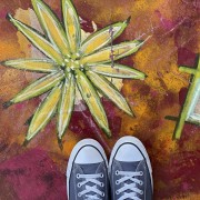 chucks-15